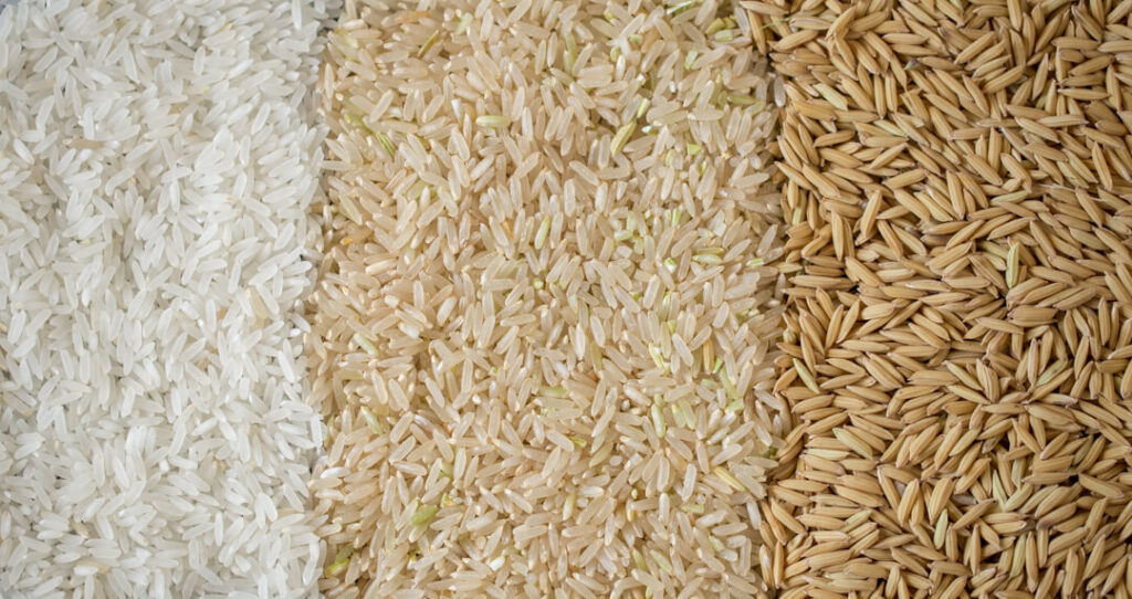 A imagem mostra 3 tipos de arrozes para ilustrar o grão e como ele é produzido