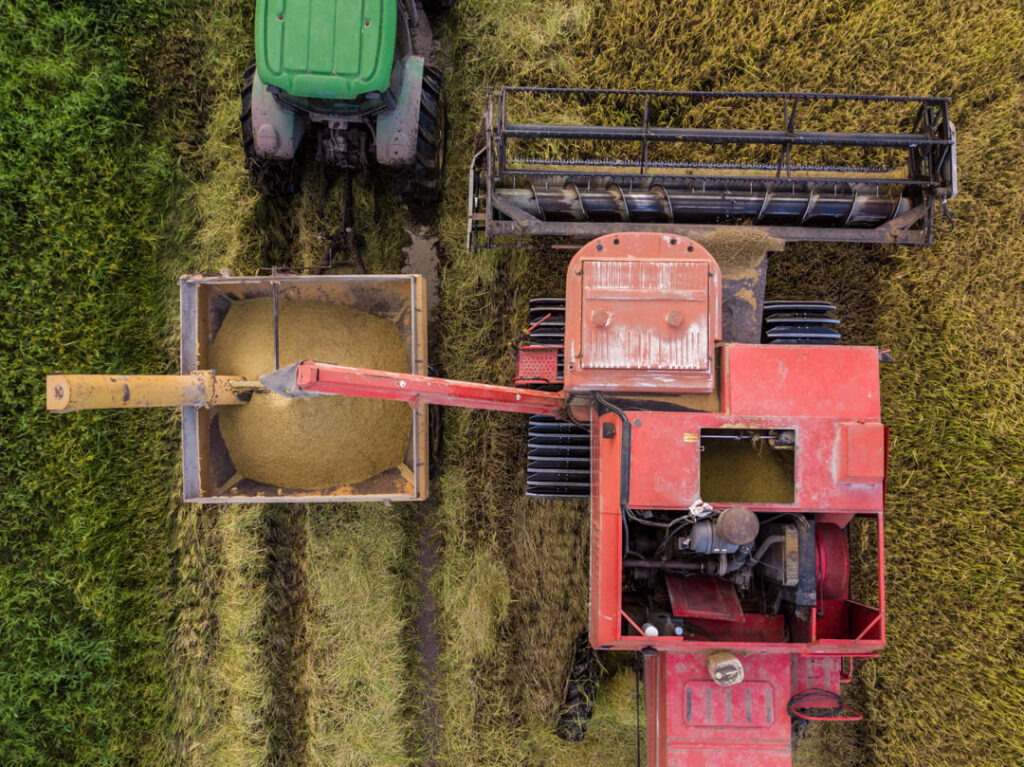 Imagem tirada de cima, mostra o campo com uma máquina recolhendo os grãos de arroz na fazenda