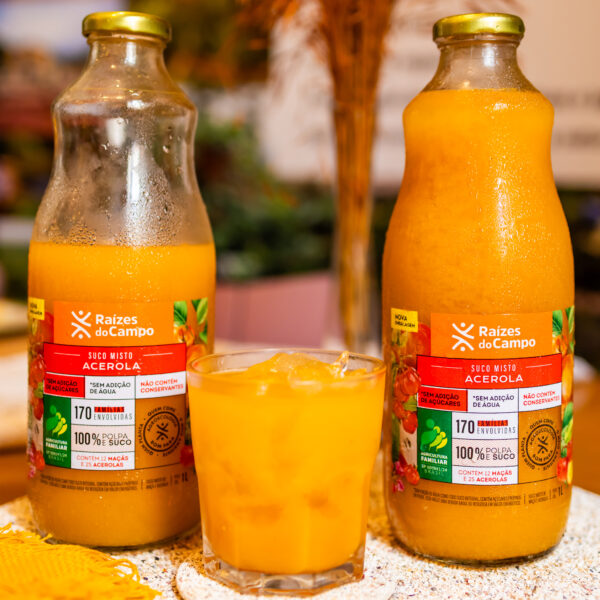 Suco de Acerola e Maçã Integral 1 Litro (Pack com 6) - Imagem 3