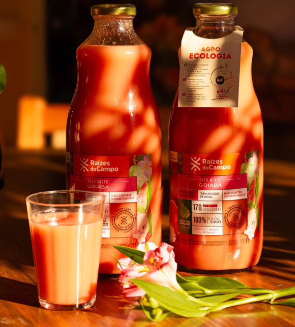 Suco de Goiaba e Maçã Integral 1 Litro (Pack com 6) - Imagem 3