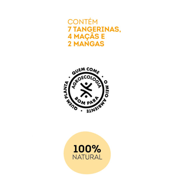 Suco Misto Integral 1 Litro (Manga, Tangerina e Maçã) (Pack com 3) - Imagem 7
