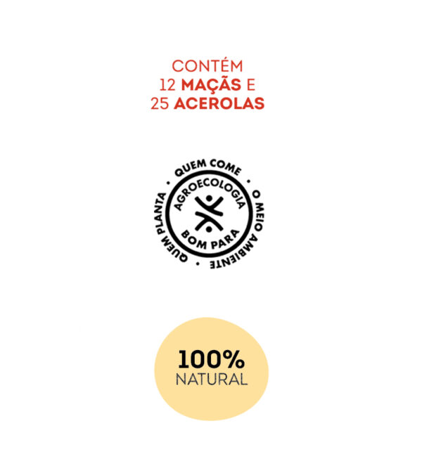 Suco de Acerola e Maçã Integral 1 Litro (Pack com 6) - Imagem 7