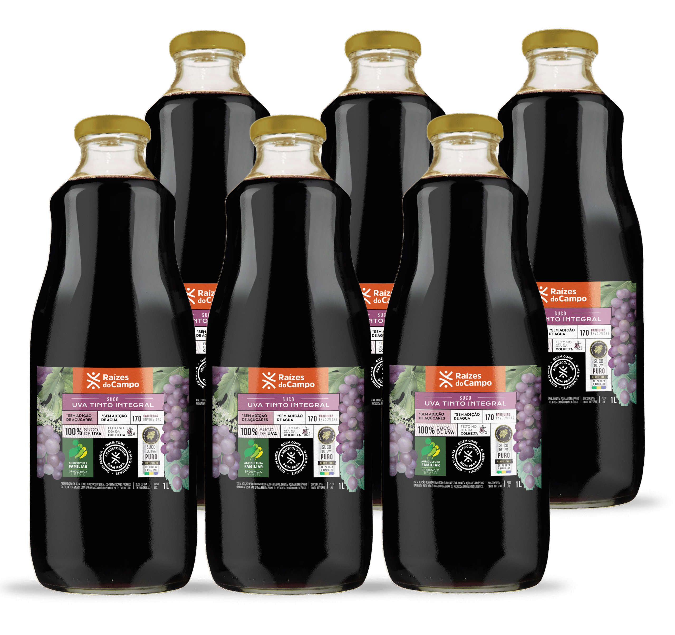 Kit 6 Unidades de Suco de Uva Integral 1 Litro