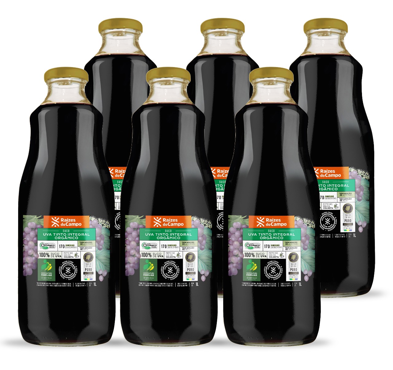 Kit 6 Unidades de Suco de Uva Integral Orgânico 1 Litro