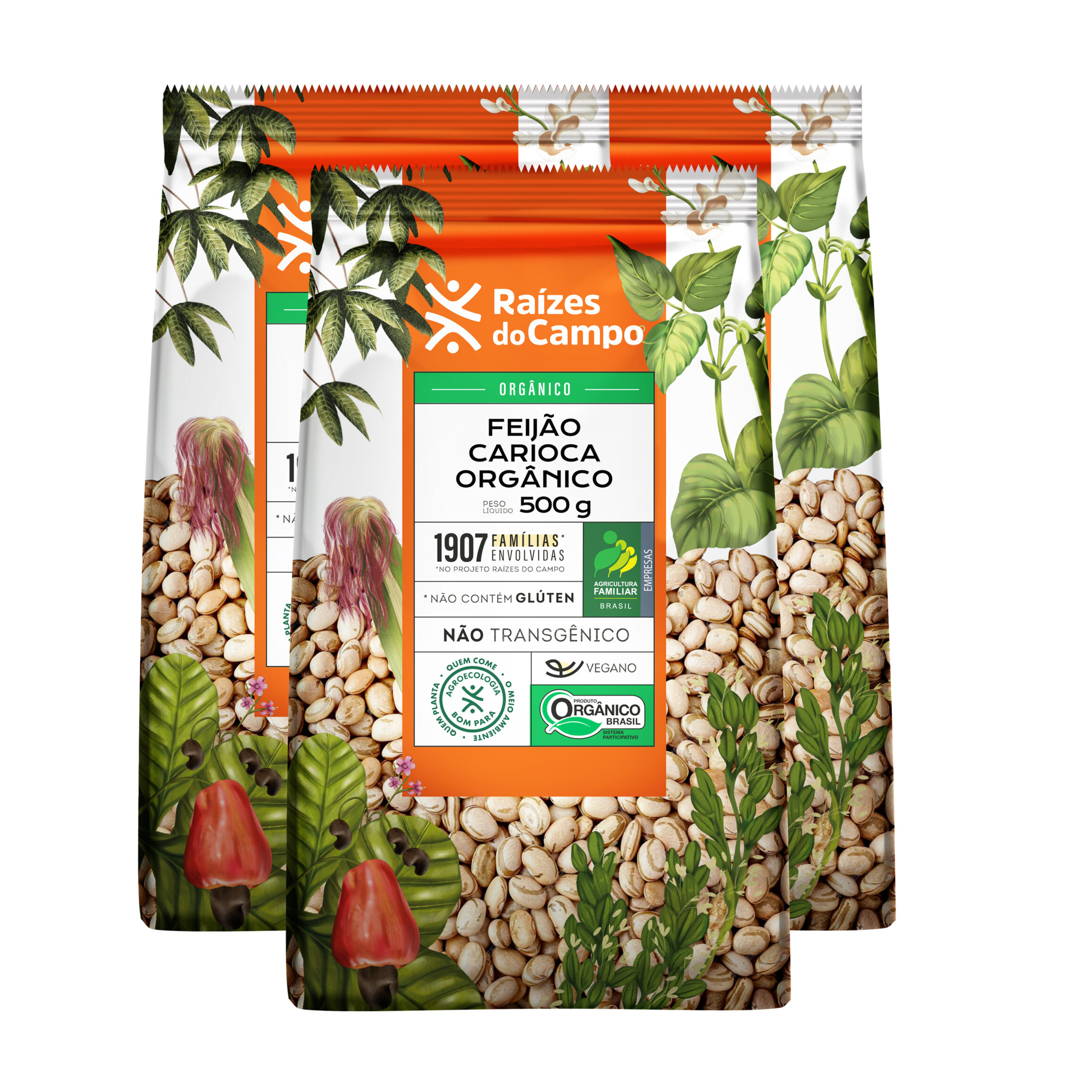 Feijão Carioca Orgânico 500g (PACK COM 3)