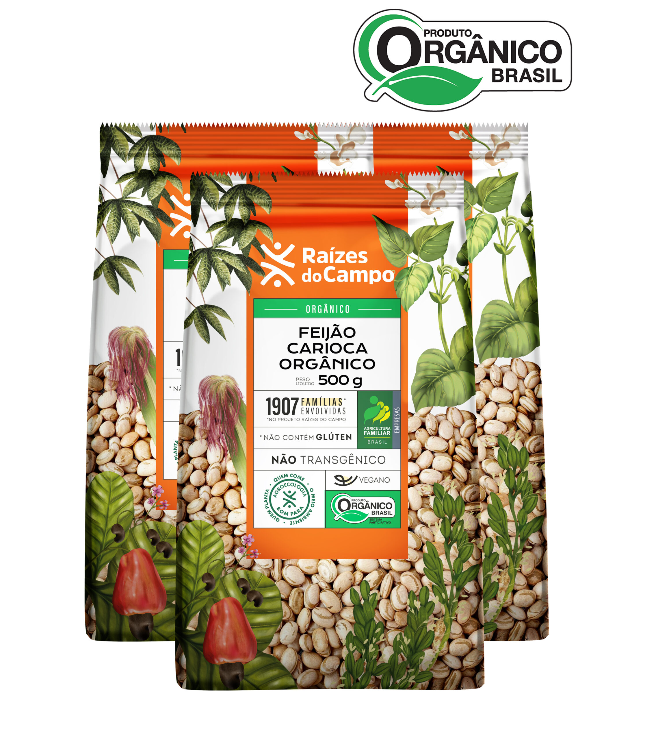 Feijão Carioca Orgânico 500g (PACK COM 3)