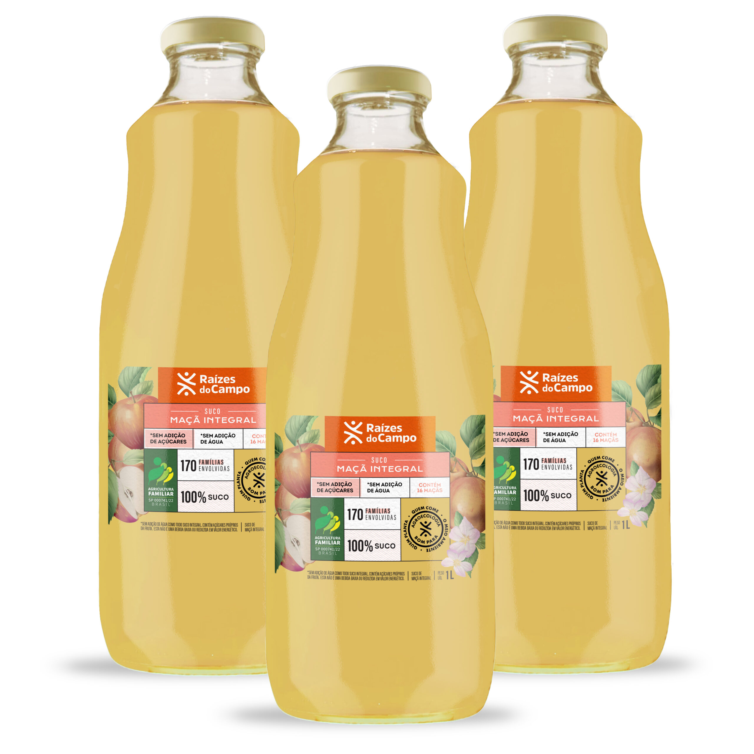 Kit 3 unidades de Suco de Maçã Integral 3x1 Litro