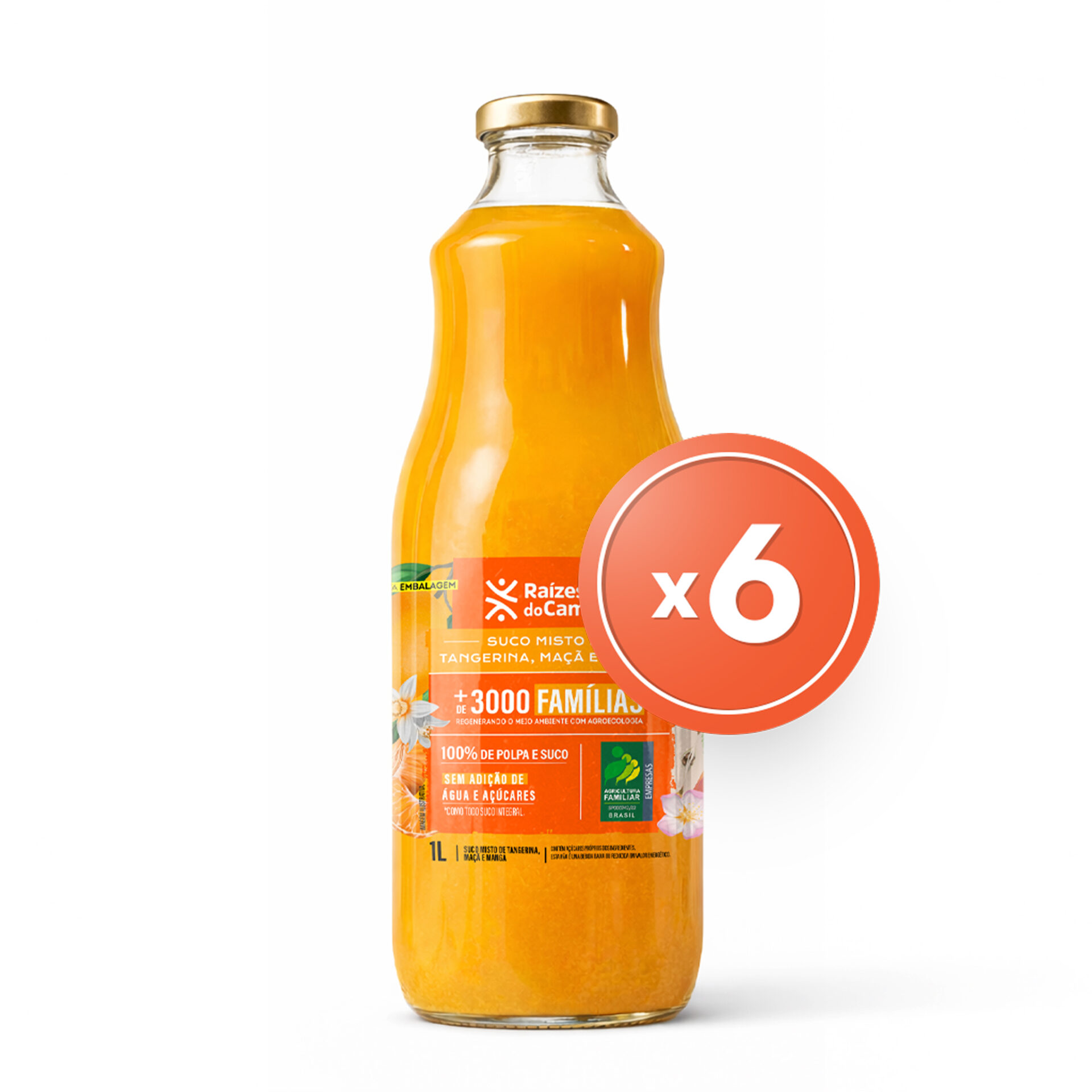 Pack - 6 Unidades de Suco Misto de Tangerina, Maçã e Manga (1 Litro)