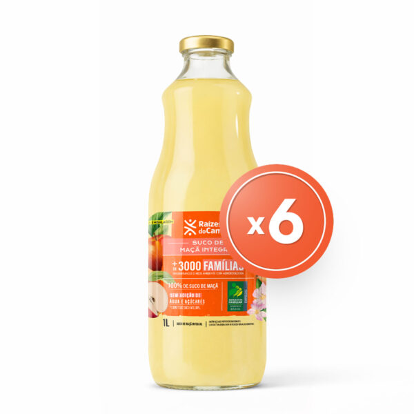 Pack - 6 Unidades de Suco de Maçã Integral (1 Litro)