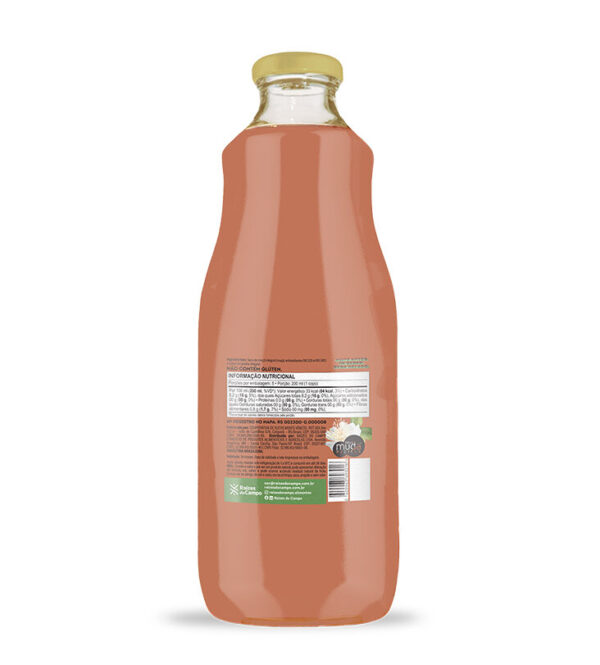 Suco de Goiaba e Maçã Integral 1 Litro (Pack com 6) - Imagem 2