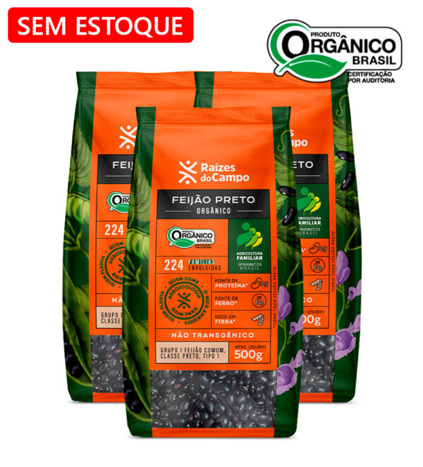 Feijão Preto Orgânico 500g (PACK COM 3)