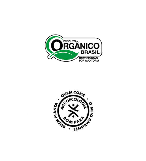 Arroz Agulhinha Polido Orgânico 1kg (Pack com 10) - Imagem 8