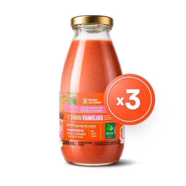Pack - 3 Unidades de Suco Misto de Maçã e Goiaba (300ml)