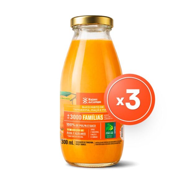 Pack - 3 Unidades de Suco Misto de Tangerina, Maçã e Manga (300ml)