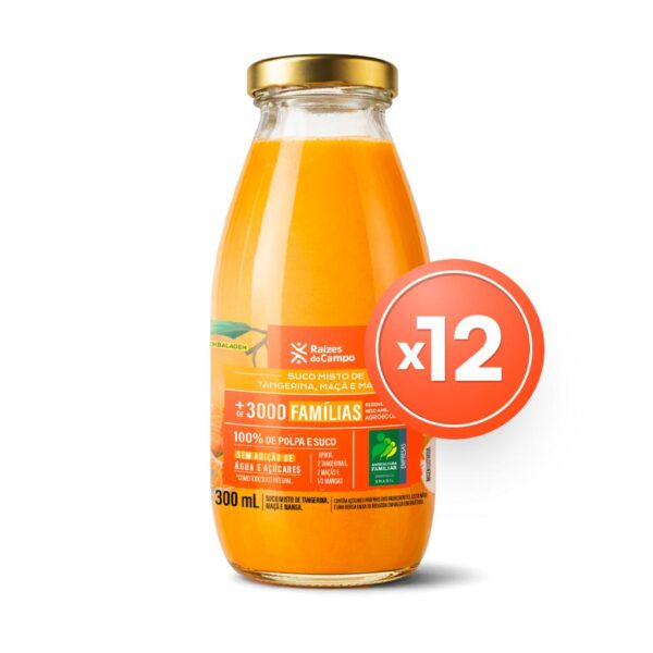 Pack - 12 Unidades de Suco Misto de Tangerina, Maçã e Manga (300ml)