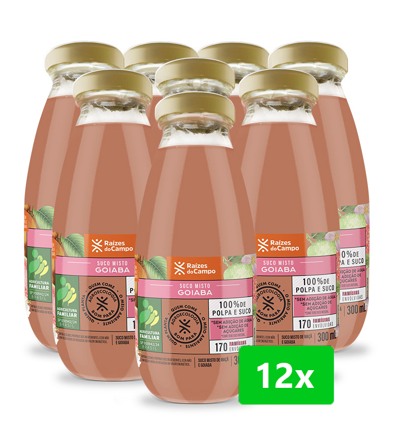 Suco de Goiaba e Maçã Integral 300ml (pack com 12)