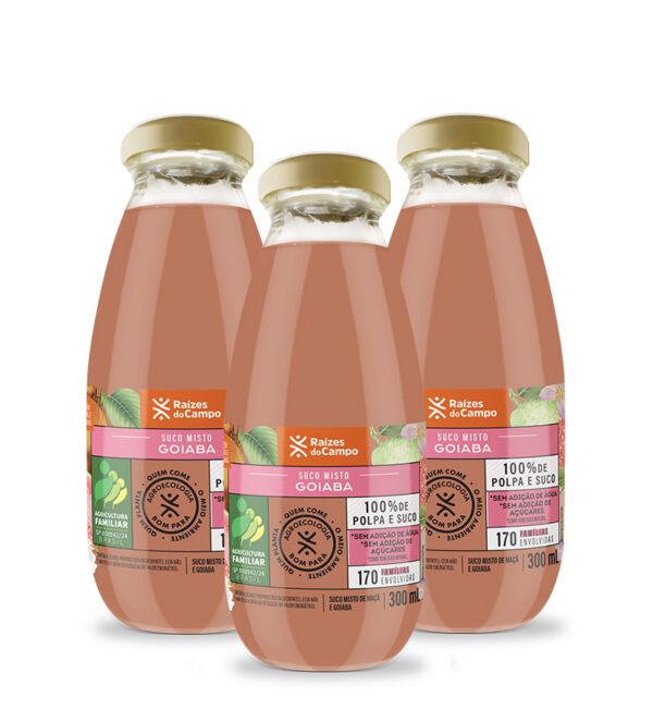 Suco de Goiaba e Maçã Integral 300ml (pack com 3)
