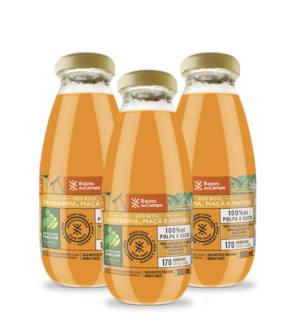 Suco Misto Integral 300ml (Manga, Tangerina e Maçã) (pack com 3)