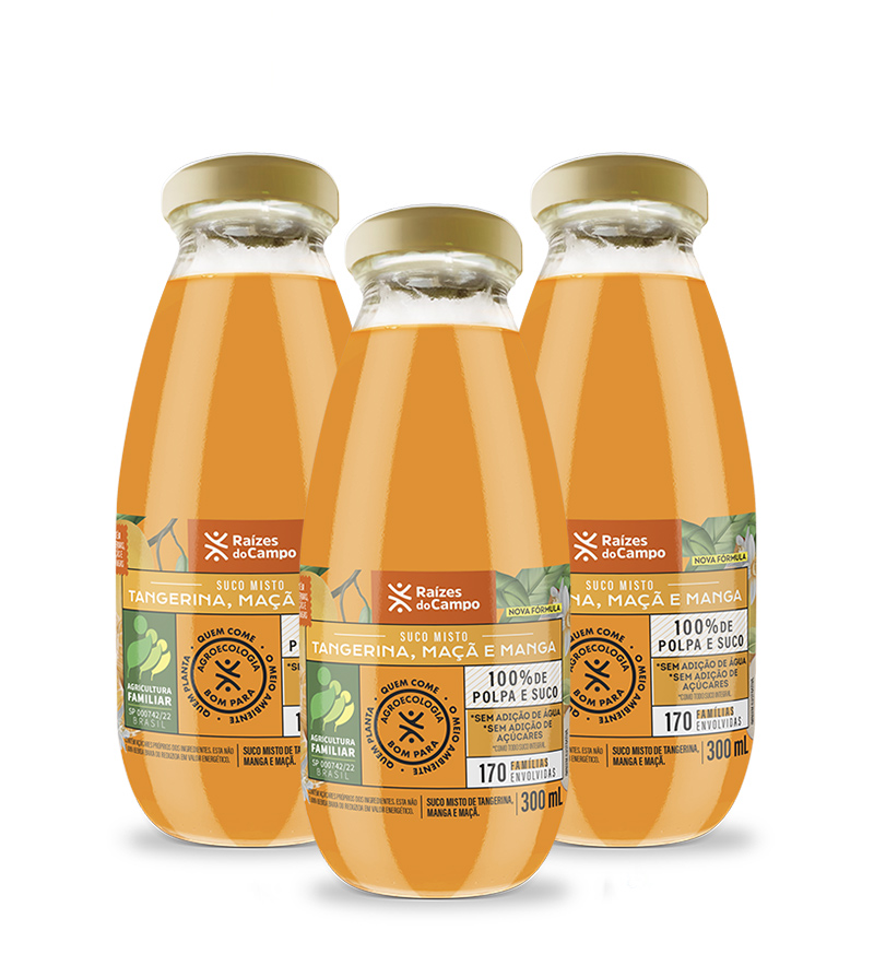 Suco Misto Integral 300ml (Manga, Tangerina e Maçã) (pack com 3)