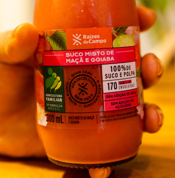 Suco de Goiaba e Maçã Integral 300ml (pack com 12) - Imagem 4