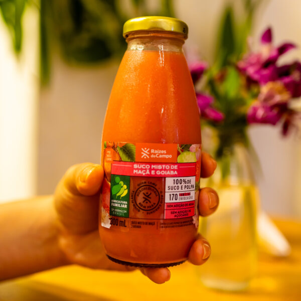 Suco de Goiaba e Maçã Integral 300ml (pack com 12) - Imagem 3