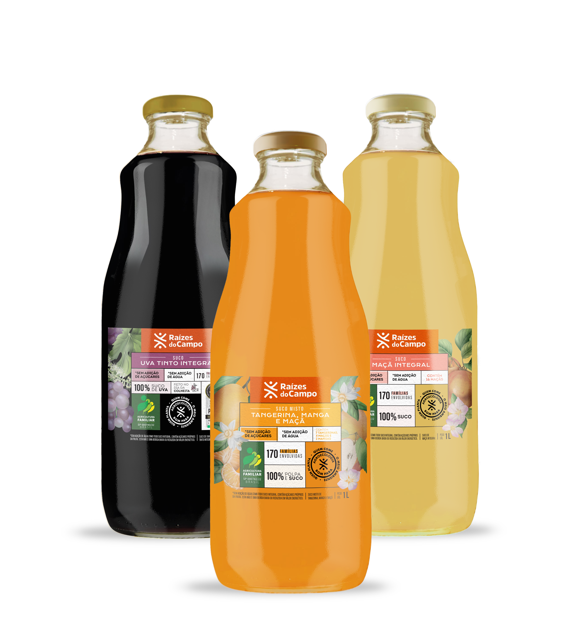 Suco Integral 1 Litro (Pack com 3 sabores variados - Uva, Maçã e Misto)