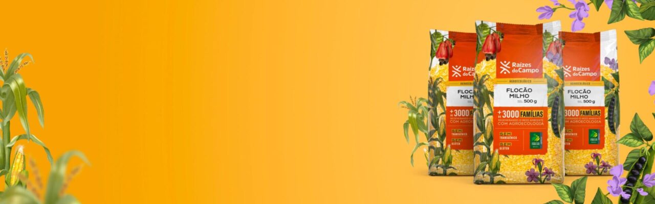 Banner Carrossel flocao desk v1