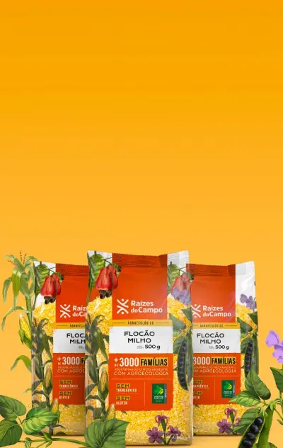 Banner Carrossel Flocão de Milho