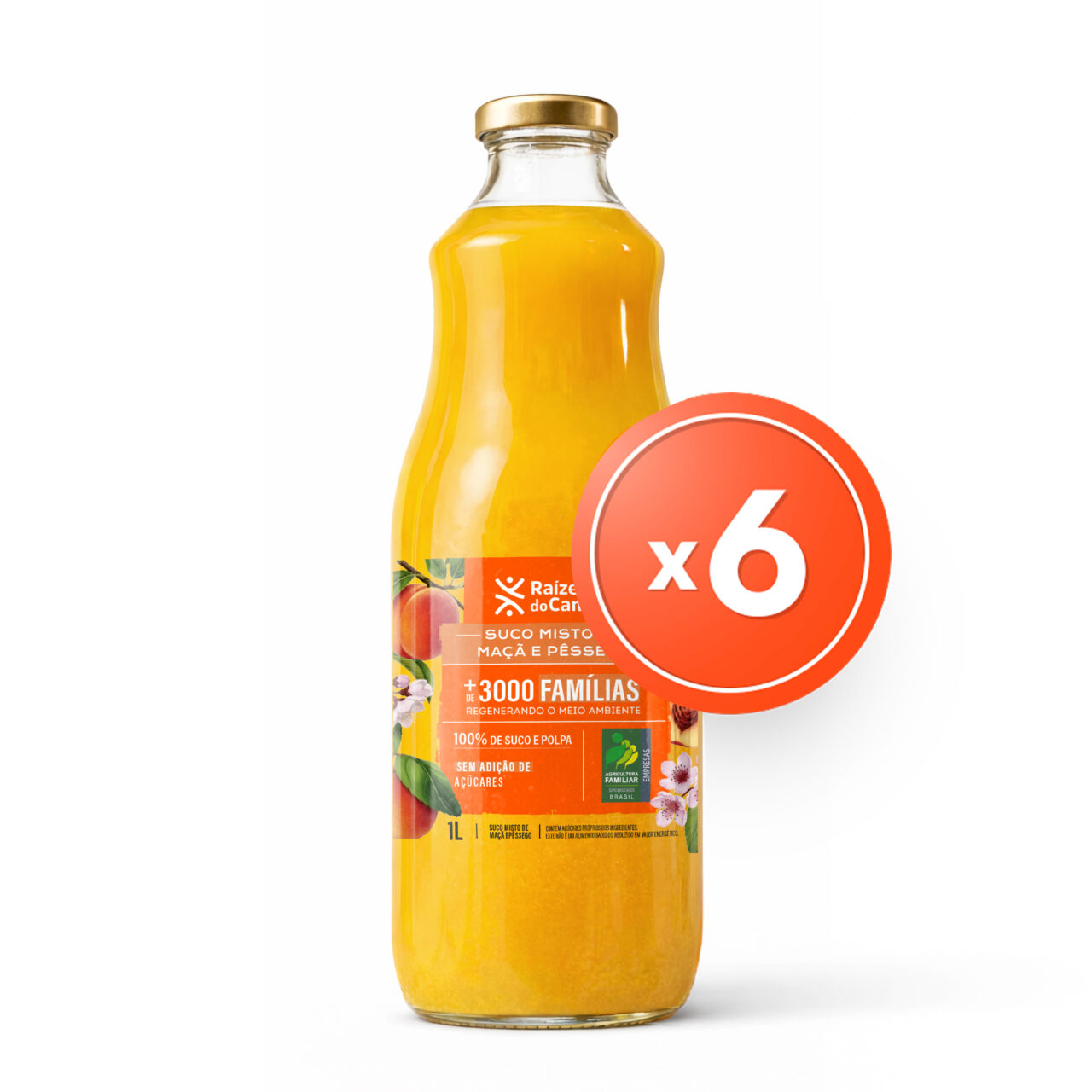 Suco Pessego 1l