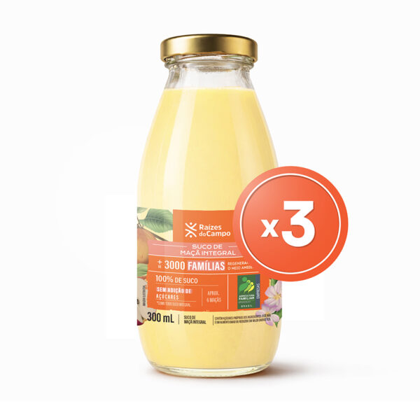 Suco maça 300ml