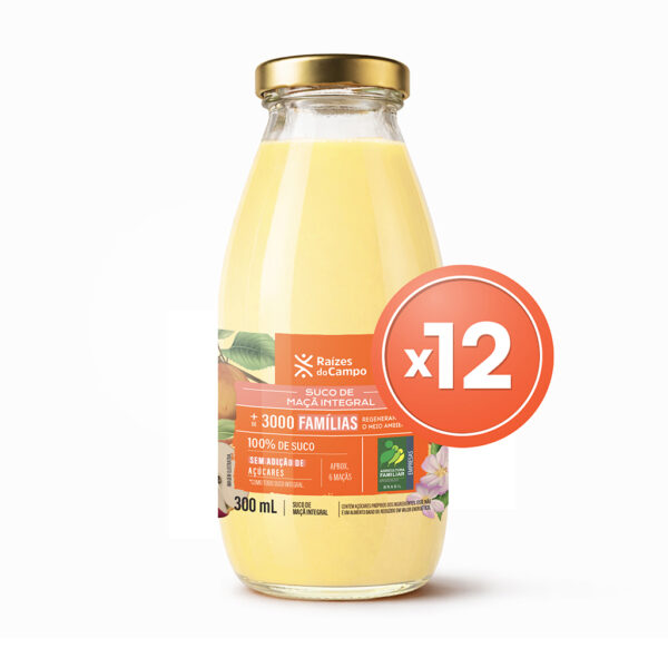 Suco maça 300ml
